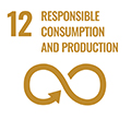 12. Responsible consumption and production