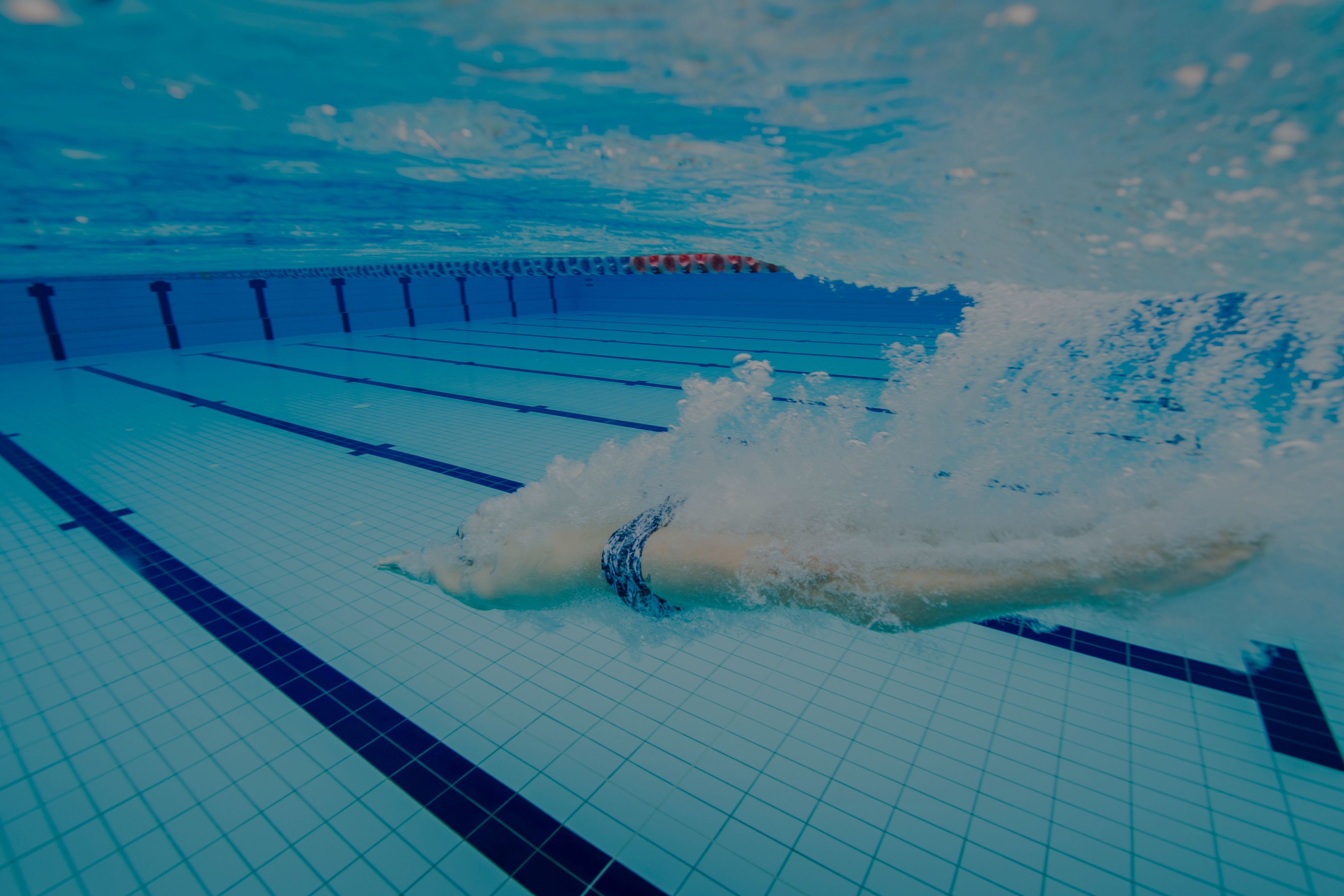 A swimmer diving into a pool.