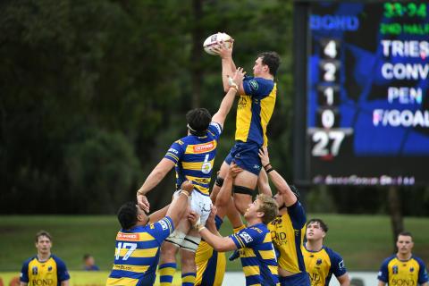 lineout