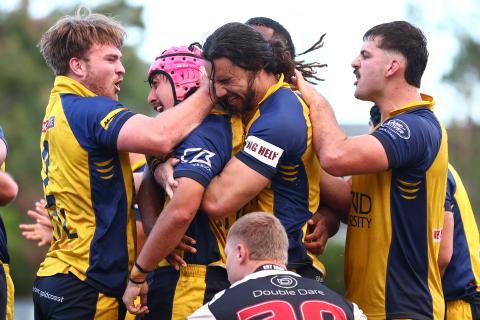 Bull Sharks celebrate 