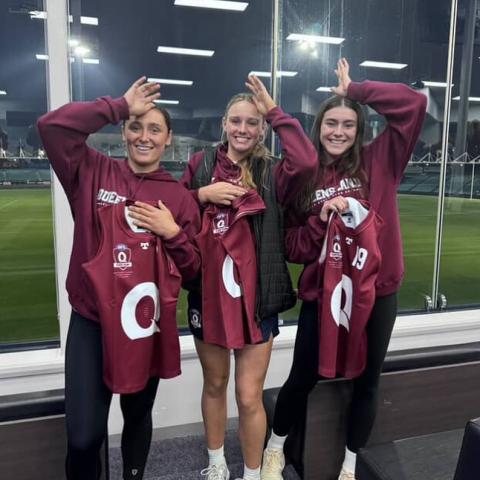 Bull Sharks trio in Tasmania