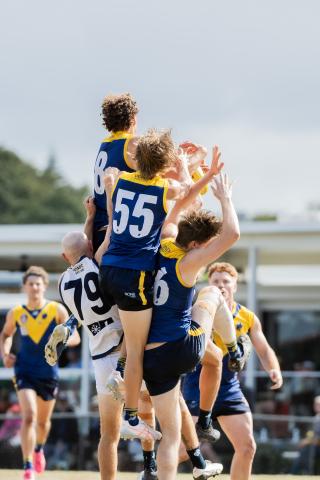 Bond University Bull Sharks AFL