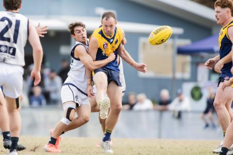 Bond University Bull Sharks AFL