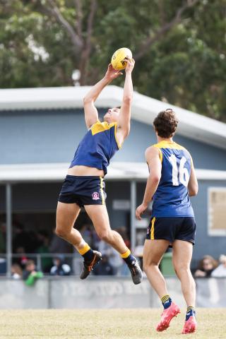 Bond University Bull Sharks AFL