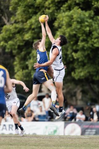 Bond University Bull Sharks AFL