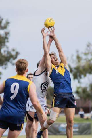 Bond University Bull Sharks AFL