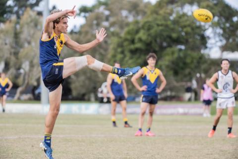 Bond University Bull Sharks AFL