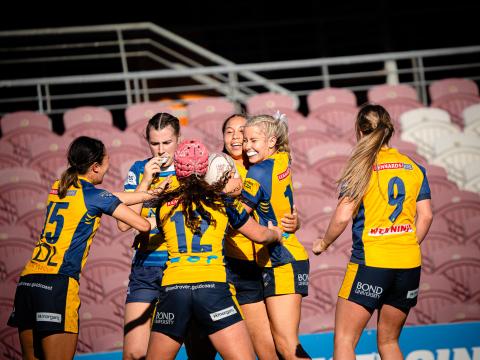 Bull Sharks celebrating