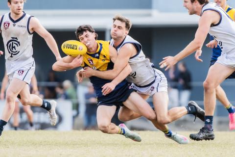 Bond University Bull Sharks AFL