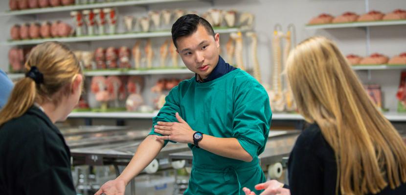 A student wears a green medical gown for Medical simulation 