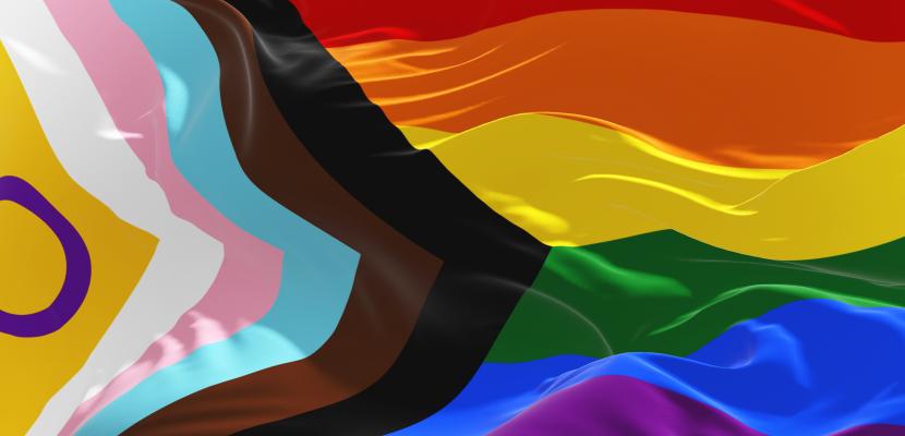 LGBTIQ Pride Flag 