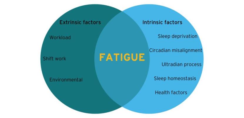 A venn diagram displays text of the various contributors of fatigue. The left hand side lists Extrinisc factors of workload, shift work, and environmental. The right side lists intrinsic factors of sleep deprivation, circadian misalignment, ultradian process, sleep homeostasis and health factors. 