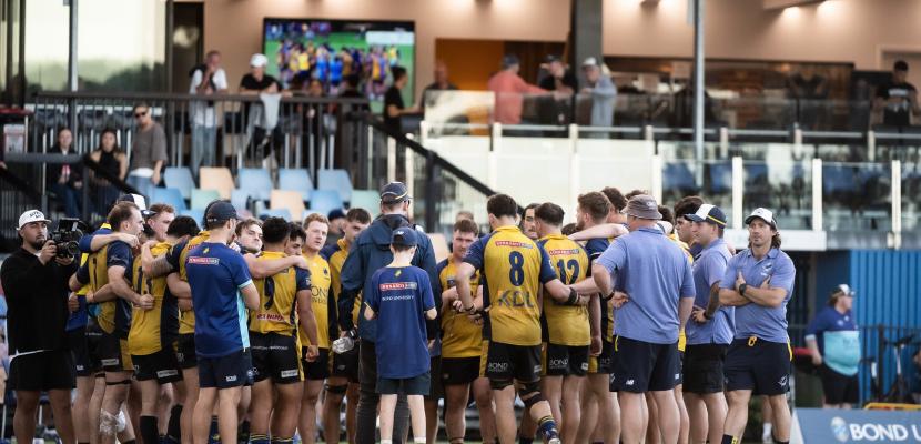 Bull Sharks celebrate 