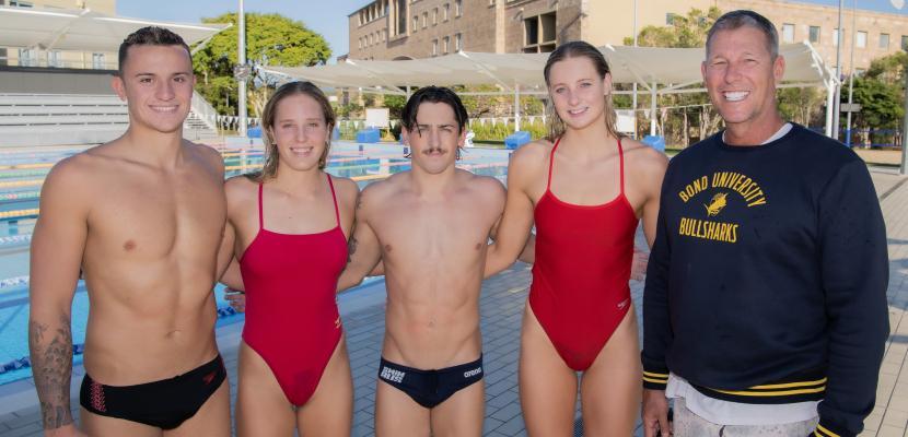 Bull Sharks Dolphins