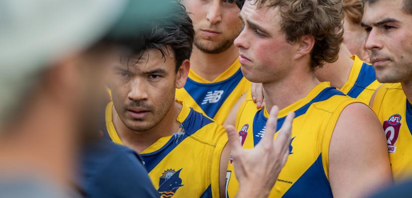 Bond University Bull Sharks AFL