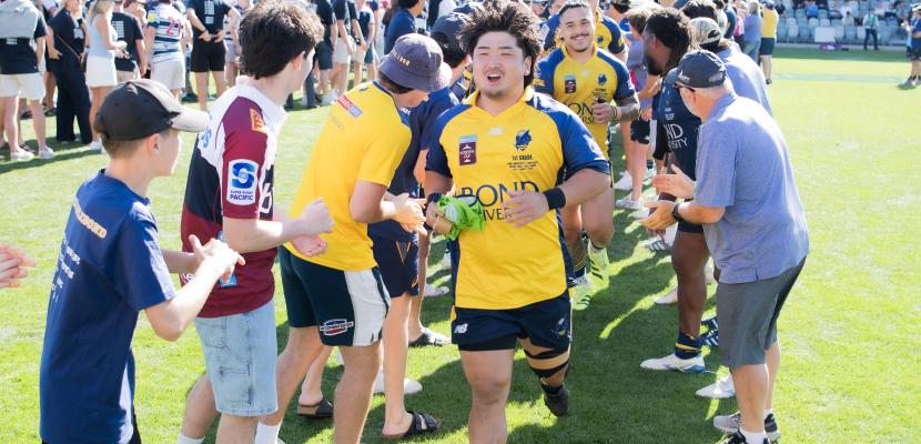Bond University Bull Sharks rugby
