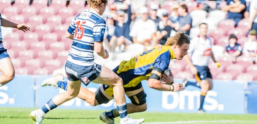 Bond University Bull Sharks rugby