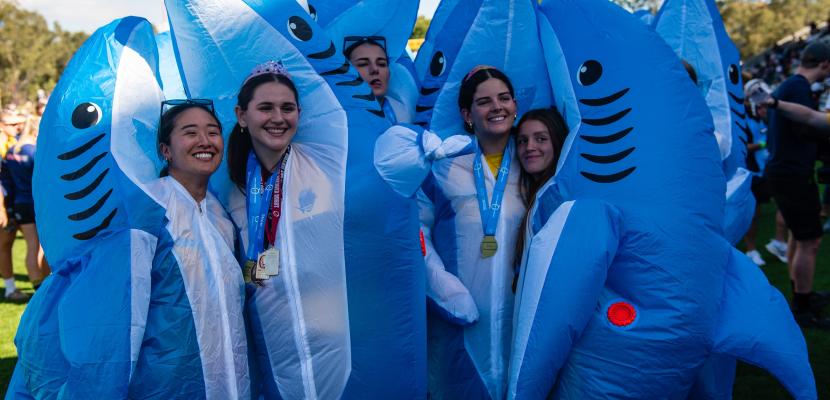 Girls in shark suits  